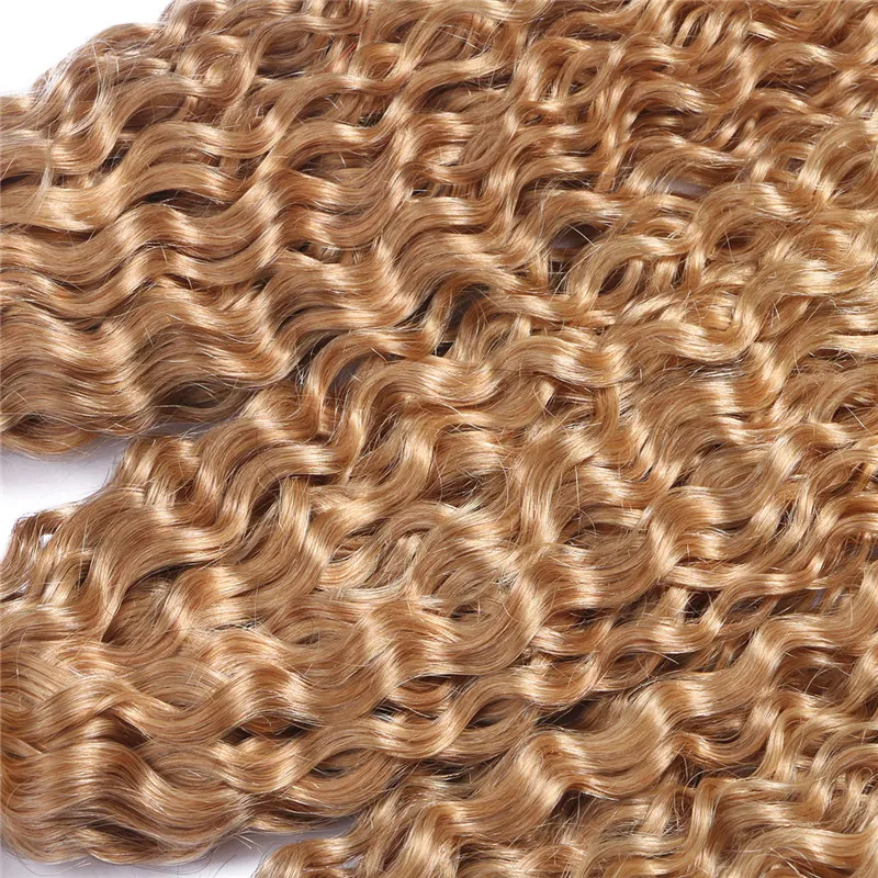 Strawberry Blonde Afro Kinky Curly Human Hair Weave Virgin Brazilian Hair Wefts #27 Blonde Kinky Curly Hair Extensions 