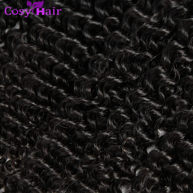 Mongolian Kinky Curly Virgin Human Hair Weave 4 Bundles Unprocessed 8A Jerry Curl Remy Hair Extensions Natural Color Dyeable Double Weft