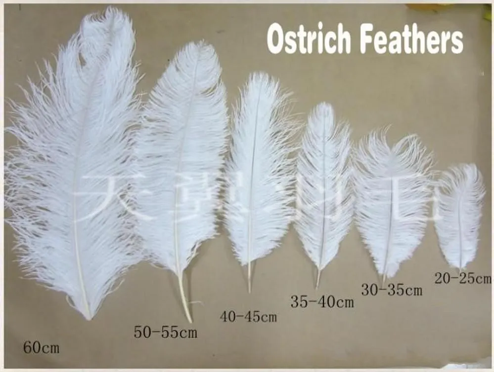 15-20cm White Ostrich Feather Plume Craft Supplies Wedding Party Table Centerpieces Decoration 182n