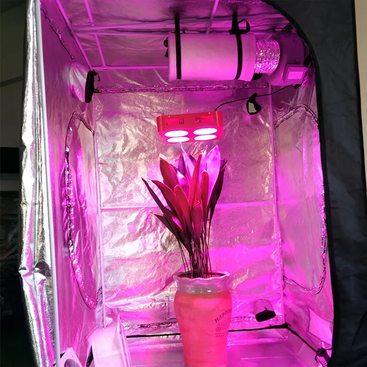 تنمو أضواء خيمة غرفة النبات الأخضر مع نافذة الحافظة وعلقة الأرضية للأزهار الداخلية الخضار المتزايدة mylar عاكس W242U