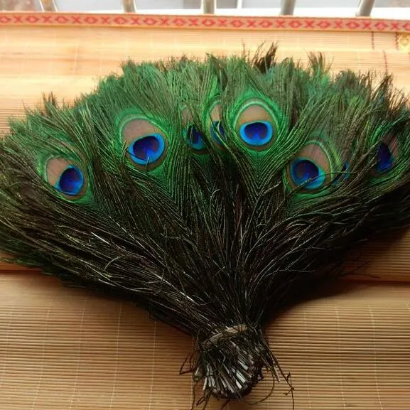 Feather Peacock TAILS 10 