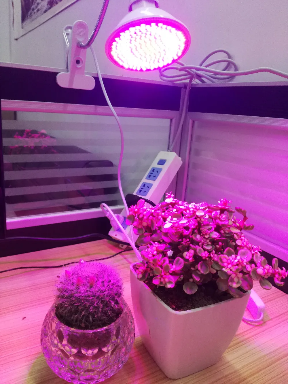 60 126 200 LED成長電球360植物花野菜のための柔軟なランプホルダークリップ成長屋内温室水耕栽培D2 0242Q