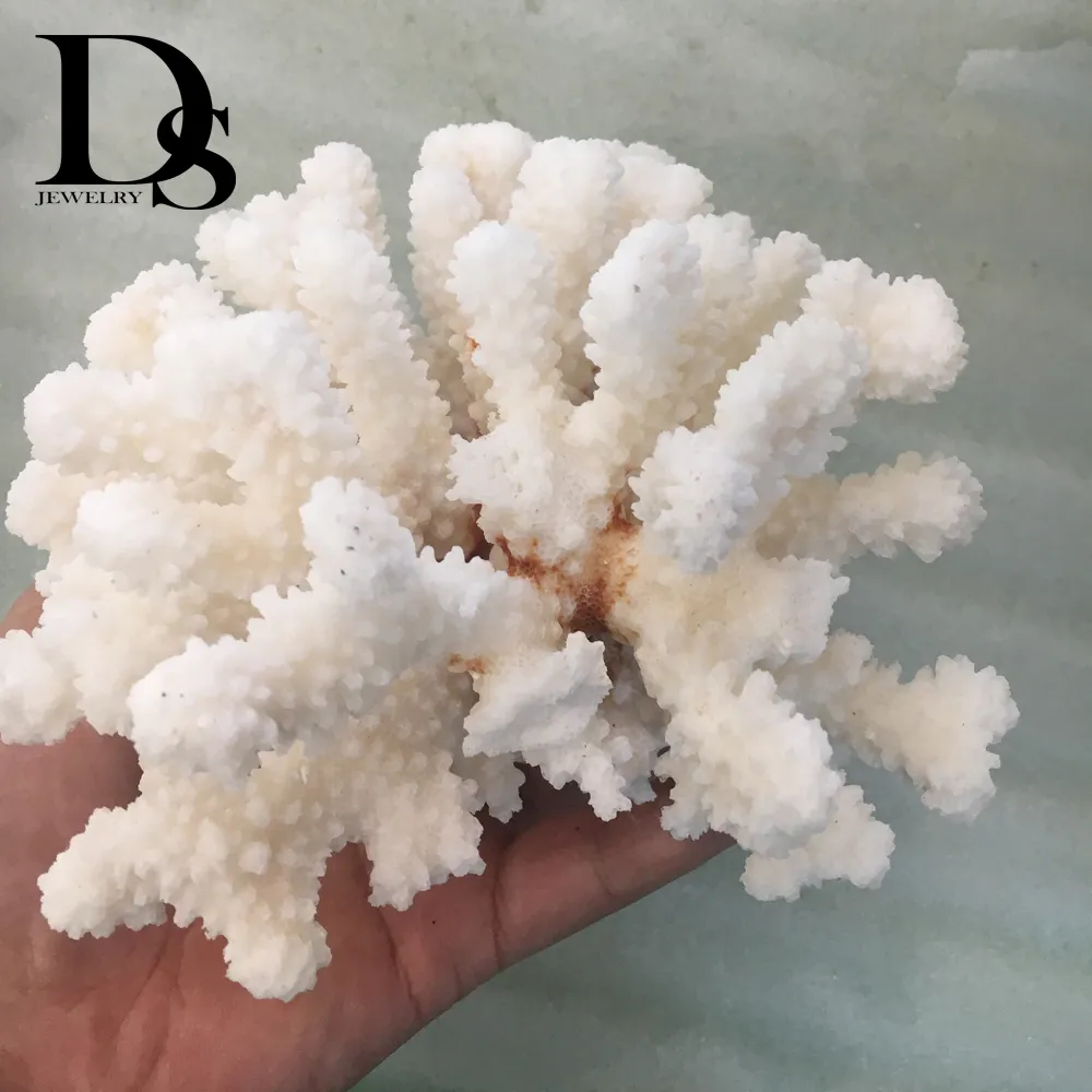 14-16cm 100% Natural Coral Sea White Coral Tree White Coral Aquarium Landscaping Home Furnishing Ornaments Home Decoration169I