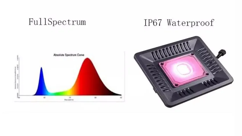 Светодиодный светлый светлый спектр 100 Вт водонепроницаемый IP67 COB расти светодиодная лампа для завода крытый открытый гидропонный тепличный освещение LLFA
