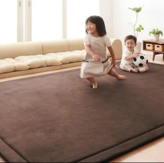 Large Chenille Carpet Coral Fleece Mat 120 200 2CM Tatami Table Manually Bedroom Carpet Rectangle Living Room Rug 2CM Thick238s