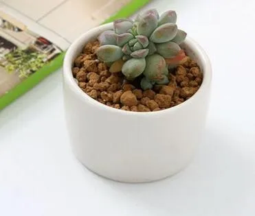 240 pz vasi bonsai in ceramica interi mini vasi da fiori in porcellana bianca fornitori la semina di piante succulente interni casa vivaio219g