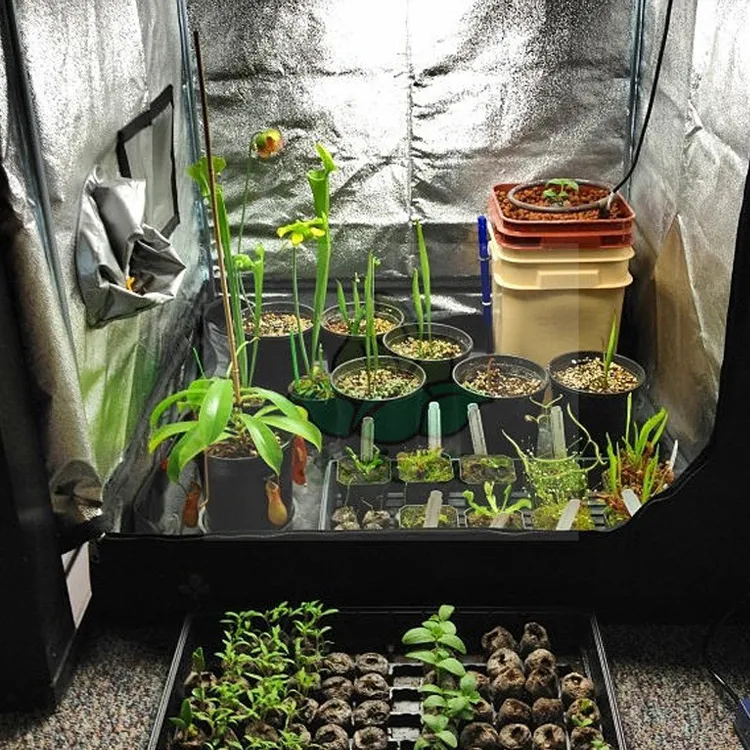 Kweeklampentent Groene plantenkamer met observatievenster en vloerbak voor binnenbloemen Groenten kweken Reflecterend Mylar W293T