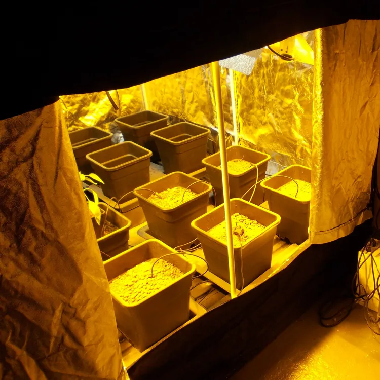 성장 조명 반사 mylar 방수 성장하는 텐트 녹색 식물실 실내 꽃을위한 병과 바닥 쟁반 Plan211i