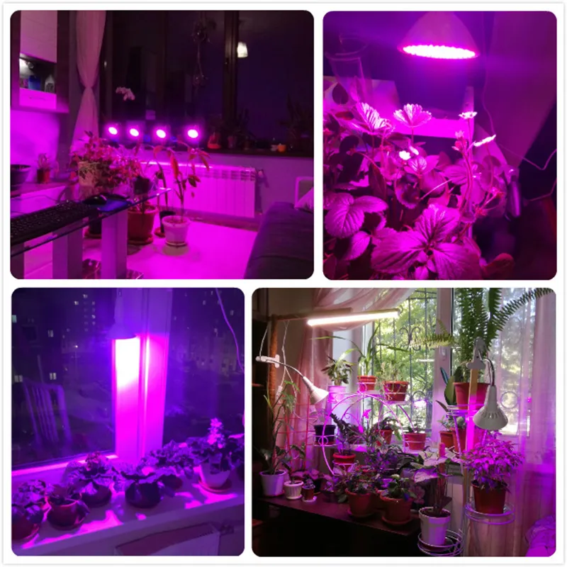 60 126 200 LED成長電球360植物花野菜のための柔軟なランプホルダークリップ成長屋内温室水耕栽培D2 0242Q