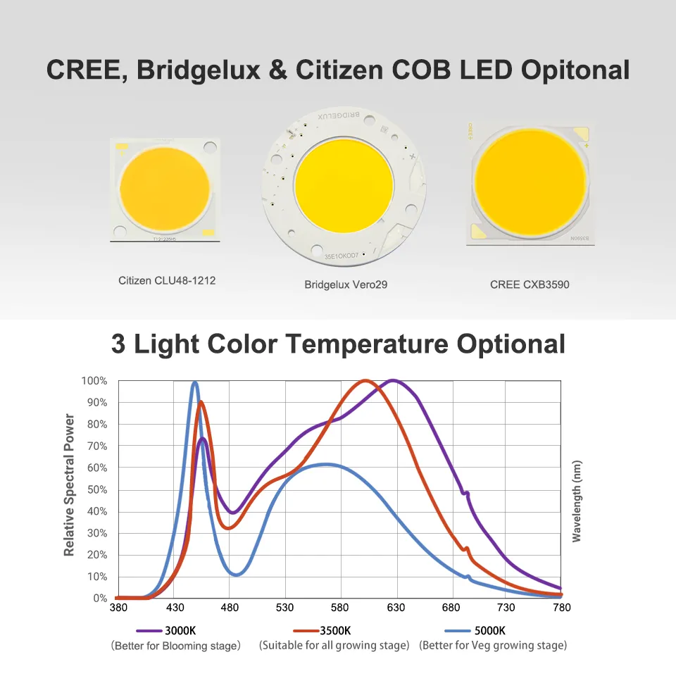 Dimmable Cre Cree CXB3590 300W COB LED LED LOGE LIGH