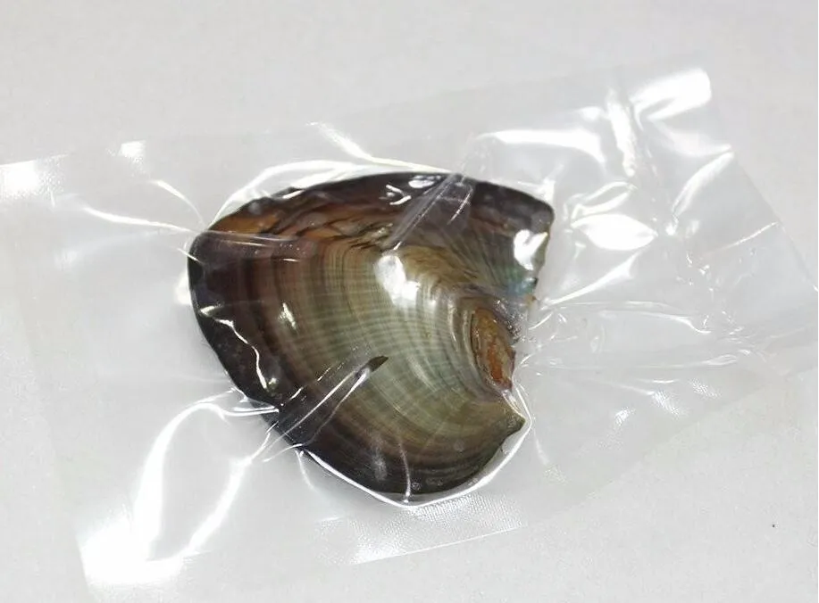 Cadeau de fantaisie Akoya Amour pas cher coque en eau douce 6-7 mm Perle Oyster avec emballage à vide Édition originale