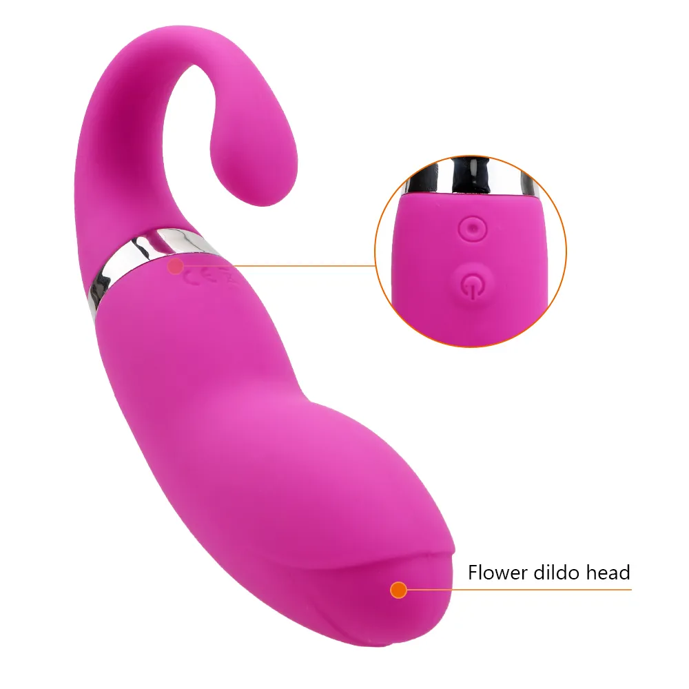 IKOKY 20 Geschwindigkeit G-punkt Vibrator Delphin Form Vibro-ei Klitoris Stimulator Vaginal Massager Sex Spielzeug Für Frau USB lade S1018