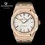 Didun Mens Automatic Mechanical Watches Top Watches Men Steel Army Watches Male Business Wrist297p