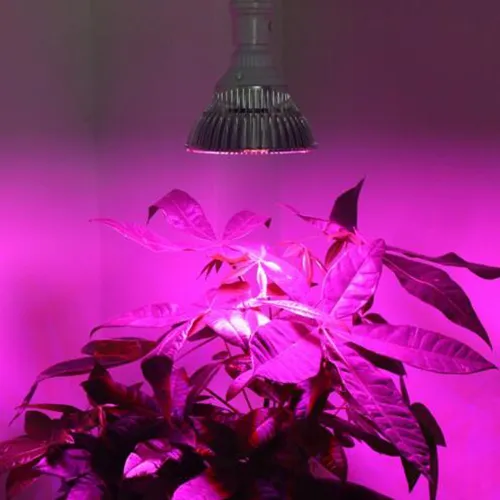 Luzes de cultivo de LED 30W 50W 80W Full Spectrum LED Plant Lâmpadas de cultivo E27 Horticultura LED Grow Light for Garden Flowering Hydroponics Sy275D