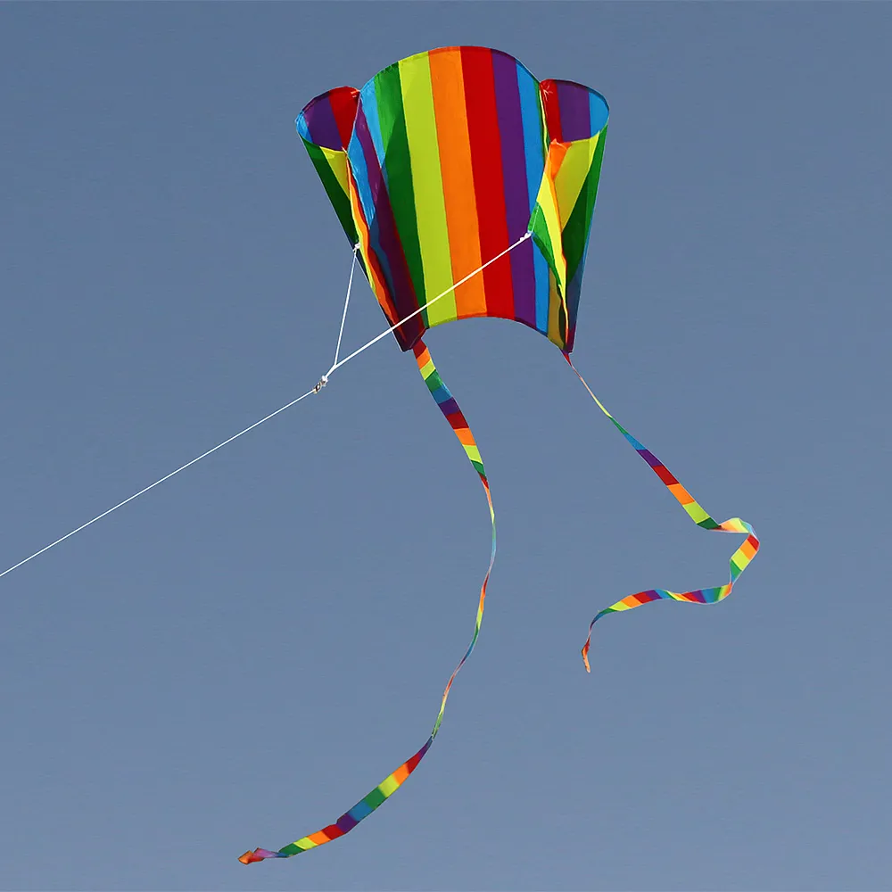 Neue farbenfrohe Parafoil -Kite Ganzes mit 200 cm Schwänzen 30m Linie Outdoor gute fliegende Hochzeit Spielzeug für Kinder Mädchen Boy5963470