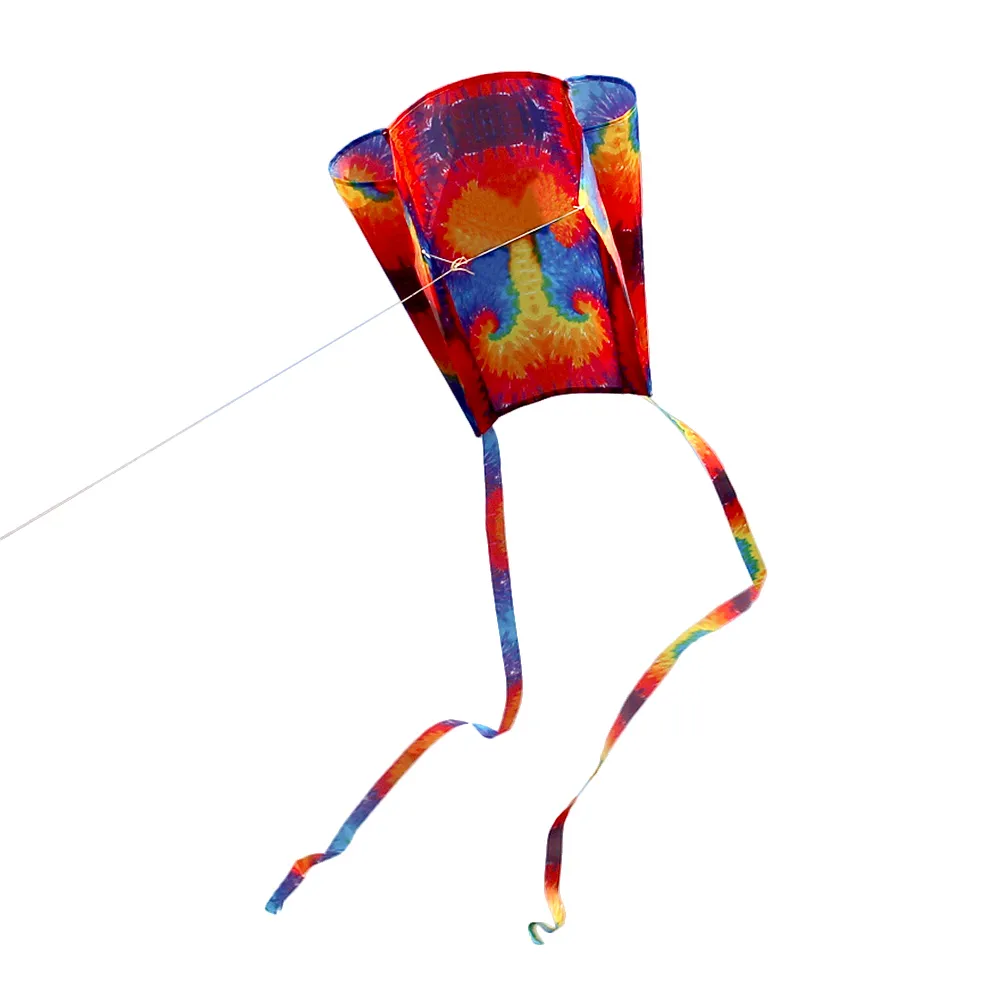 Nouveaux parafoils colorés Kite Whole avec 200 cm Tails 30m Ligne extérieur bon volant haute altitude Toys for Children Girls Boy6381280