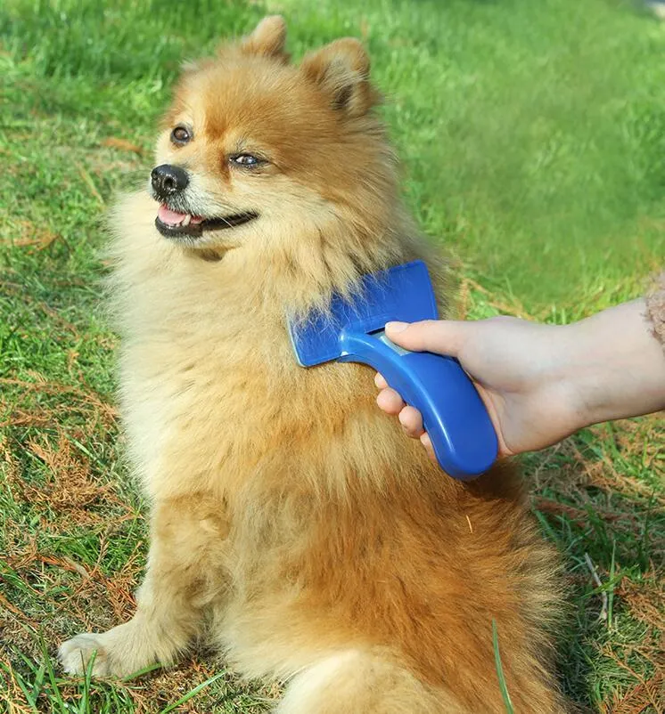 Brosse pour animaux de compagnie, peigne pour chien et chat, épilation, poils longs et courts, toilettage pour chiens, outil de démêlage des bords