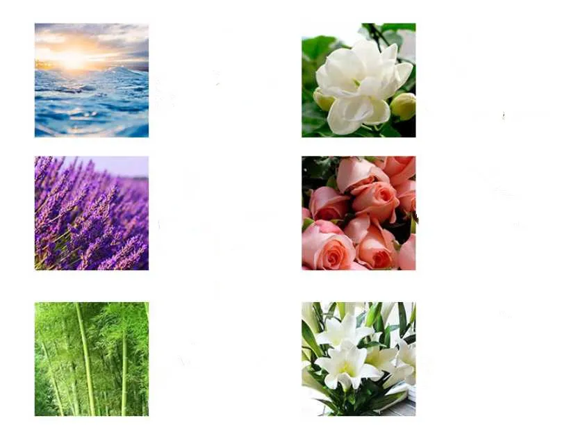 Großhandel Real Neu Der Lavendel Rose Teebaum ätherische Öle Verbund Pflanze Feuchtigkeitsöl-Kontrolle kontraktive Poren-Gesichts-Begriffenöl