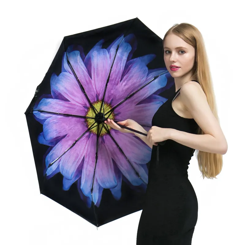 esistente al viento Automático Día soleado y