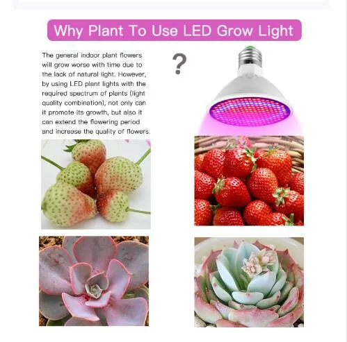 PHYTOランプフルスペクトルLED GROW LIGHT LIGHT E27 Plant Lamps with Greenhouse Hydroponic野菜の花Fitolampy247e