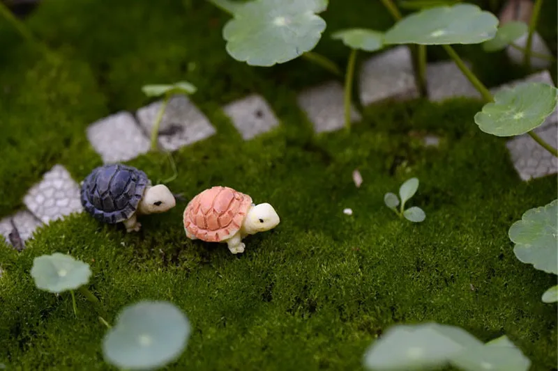 Turtle Garden Decoration Fairy Garden Miniature Mini animal Tortoise resin artificial craft bonsai 2cm 