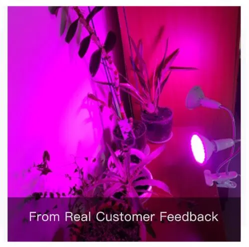 Phyto Lamp Full Spectrum LED Grow Light E27 Plant Lamps With Clip For Greenhouse Hydroponic Vegetable Flower Fitolampy176Y