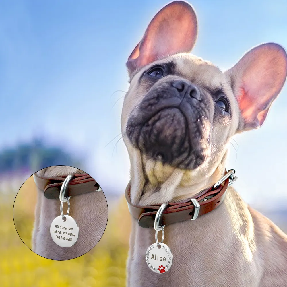 lot Blank Dog Ta Pet Puppy Cat ID Tag Gegraveerde Aangepaste Halsband Accessoires Roestvrij Staal Naamplaatje Poot Voor Honden katten Pin1807691