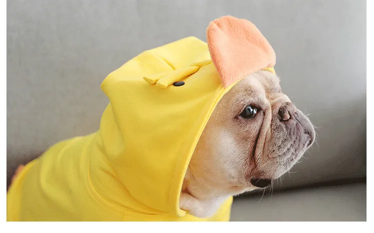 Bonito dos desenhos animados pato cão casacos moda pato amarelo pet vestido schnauzer teddy primavera outono roupas para animais de estimação 250i2673853
