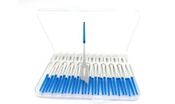 Boîte en plastique en plastique de brosse à dents Boîte en plastique pour brossage des dents dans des dents de massage élastique