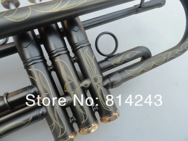 Nouveauté sans marque Unique mat noir nickelé Surface en laiton Bb trompette instrument de musique exquis sculpter des modèles Bb Trumpet