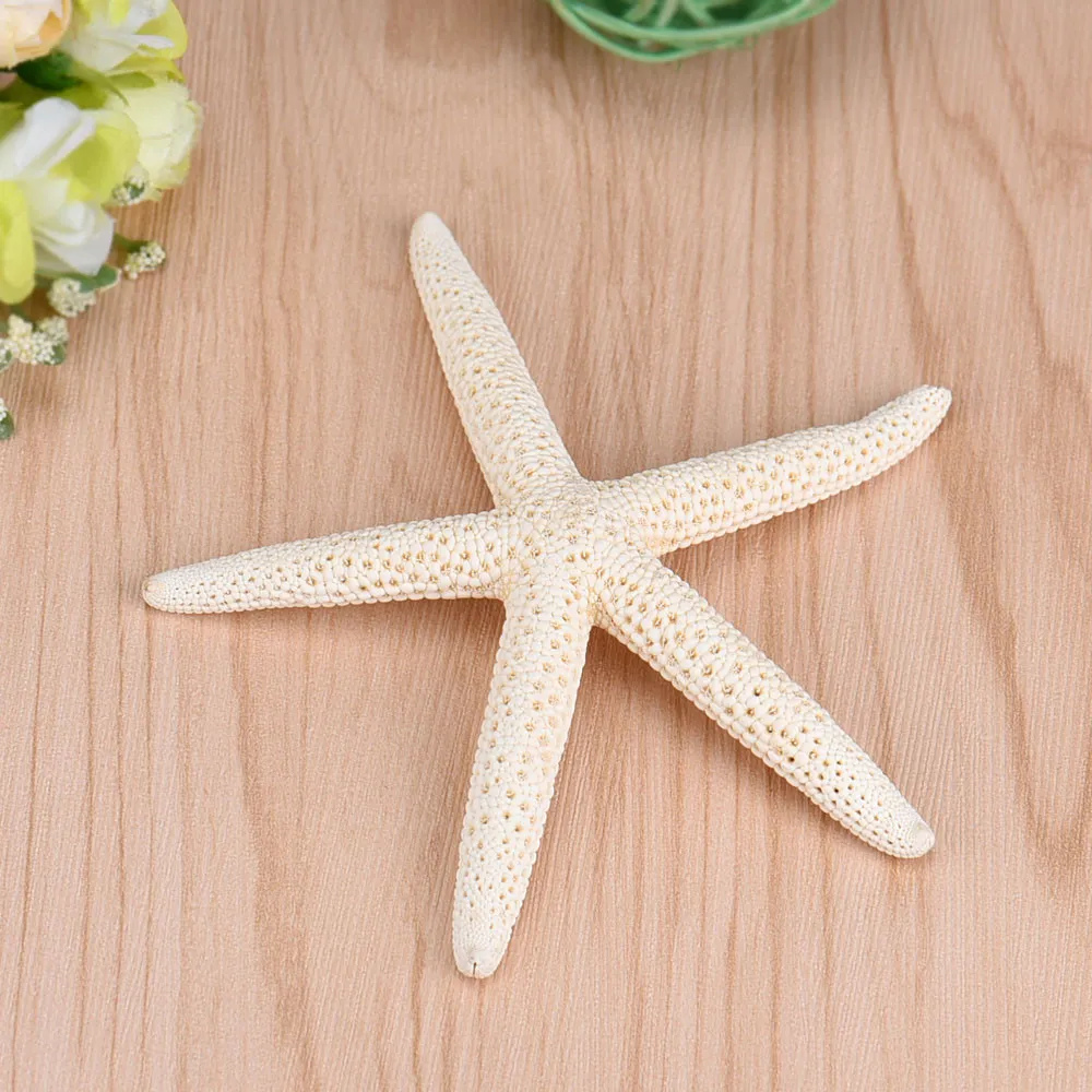 Decors domésticas 30 peças 10-12cm White Natural Finger Starfish Craft Decoração natural do mar Diy Beach Cottage Decoração de casamento Dropshipping