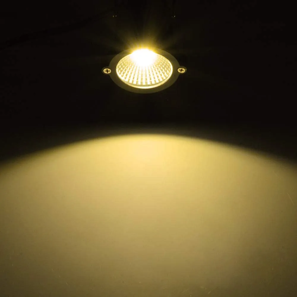 미국 주식 야외 LED 스포트라이트 5W 120V AC 3000K 따뜻한 흰색 야외 사용 금속지면 스테이크 라이트 야외 스포트라이트 W263B