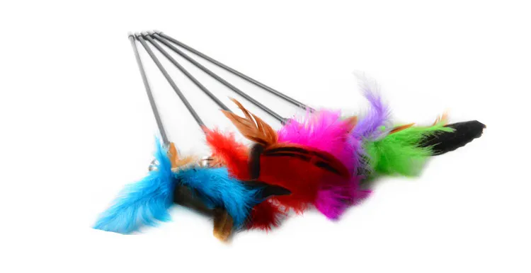 Offre spéciale jouets pour chat faire une plume de bâton de chat avec une petite cloche naturelle comme des oiseaux couleur aléatoire pôle de couleur noire DLH373