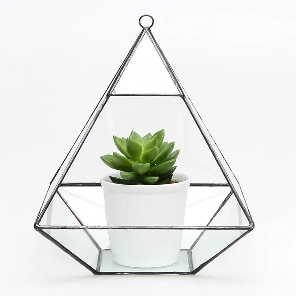 Geometric Irregular Glass Terrarium Box For Succulents, Air Plants