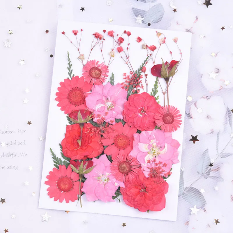 small Dried Flowers Pressed Flowers DIY Preserved Flower Epoxy phone shell dry flower material Embossed face petal makeup266T