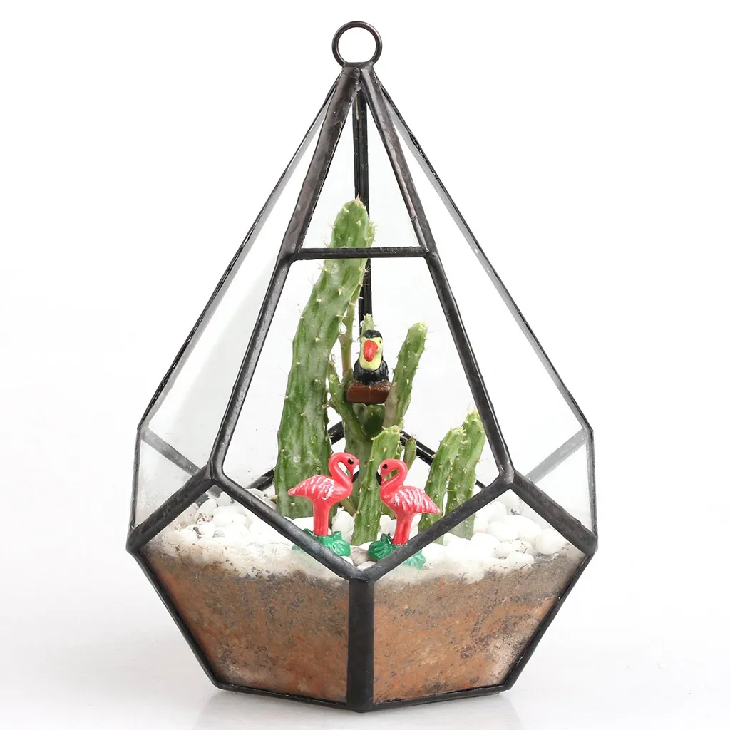 Geometric Irregular Glass Terrarium Box For Succulents, Air Plants