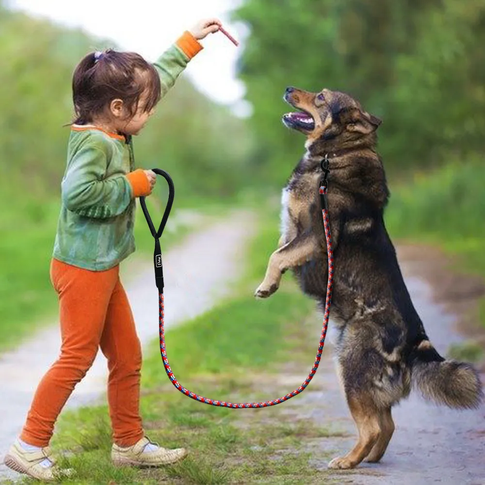 Laisse de chien réfléchissante en nylon laisses de formation pour animaux de compagnie sécurité 6 pieds de long corde d'escalade laisse de chien pour petits chiens de taille moyenne Q190432654376