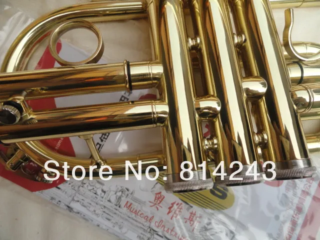 Oves Goede Kwaliteit BB Toon Studenten The Cornet Brass Gold Lacquer Trompet Nieuwe Collectie Muziekinstrumenten Met Case Gratis verzending