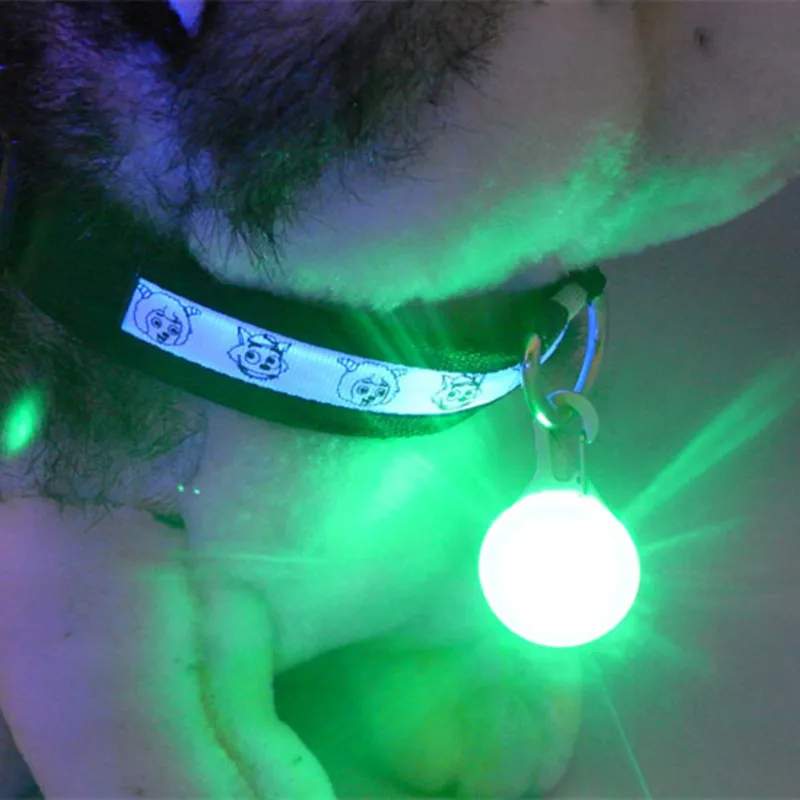 LED-blinkendes Haustierhalsband für Hunde, Katzen, Welpen, LED-Nachtsicherheit, Pedant, Schnalle, Krawattenhalsband für das Training, zu Fuß, Heimtierbedarf, DHL, Transport 6865560
