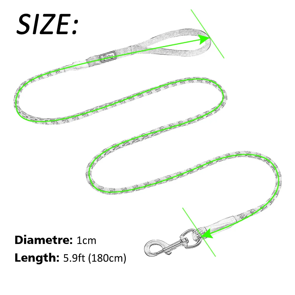 Nylon Reflexive Dog Leash Training Pet Lases Segurança de 6 pés de comprimento Cão de corda de escalada para cães pequenos médios grandes q190438215178