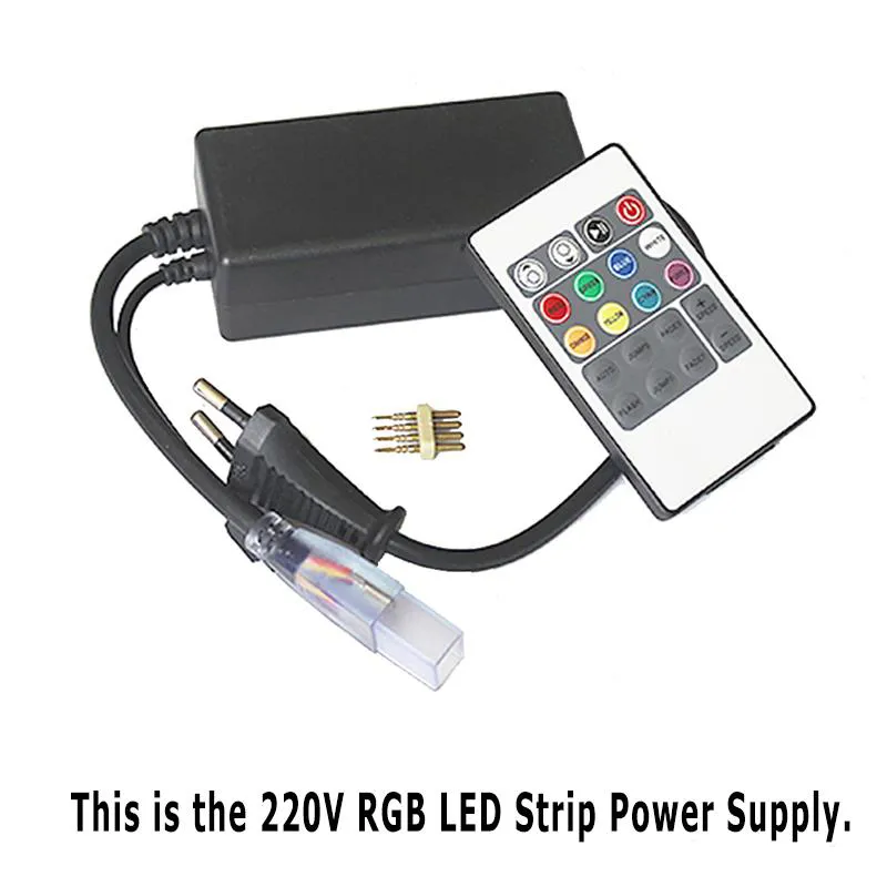110V LED 스트립 10m 50m 고전압 SMD 5050 RGB LED 스트립 조명 방수 IR 원격 제어 전원 공급 장치 293b