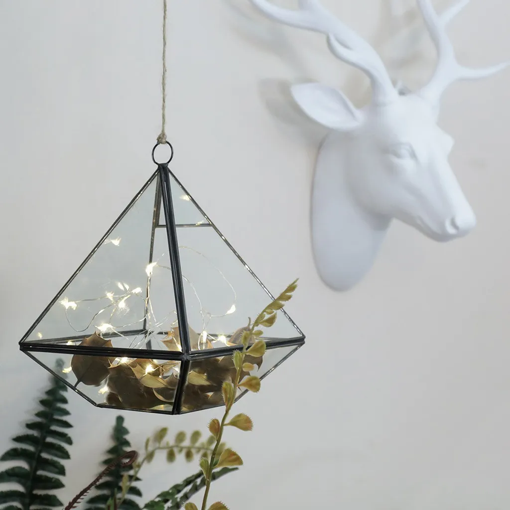 Geometric Irregular Glass Terrarium Box For Succulents, Air Plants