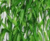 konstgjorda Salix Leaf Artificial Flowers Vine Diy Home Garden Supermarket Decoration Vine Plant G504 ZZ