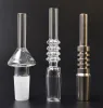 Quartz Banger Nail for Nectar Collector Quartz Dica de Dab Domless Titanium Nail 10mm 14mm 18mm Tipanium invertido Gr2 TIP ZZ