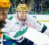 Ryan Bischel Notre Dame Fighting Irish Hockey Jersey Tyler Carpenter Jack Williams Hunter Weiss Josh Graziano Paul Fischer ND Maillots cousus sur mesure pour hommes et jeunes