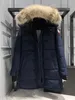 Puff Designer Canadian Goose Mid Length Versão Puffer Down Womens Jacket Down Parkas Inverno Grosso Casacos Quentes Womens Windproof Streetwear C12