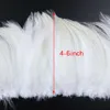 1000pcs/Bunch Rooster Saddle Plumes 4-6 Inch Hackle Feathers for Diy Jewelry Dreamcather Encorring Decoration Ascoration