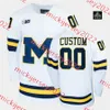 2023 남자 냉동 4 명의 미시간 울버린 하키 유니폼 타일러 모테 43 Quinn Hughes 19 Dylan Larkin 13 Zach Werenski Zach Hyman Wolverines Jersys Custom Mens Youth