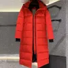 Puff 2023 Designer Jacket Kvinnor Canadian Goose Winter Parka Fashion Letter Windproof Warm Down Par Sweatshirt395495