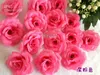 50 sztuk 11 cm / 4,33 "Sztuczny jedwabny Camellia Rose Peony Kwiat Głowy Wedding Party Dekoracyjne Flovoers Kilka kolorów dostępnych